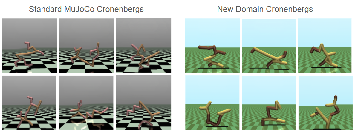 image-20250210215841577